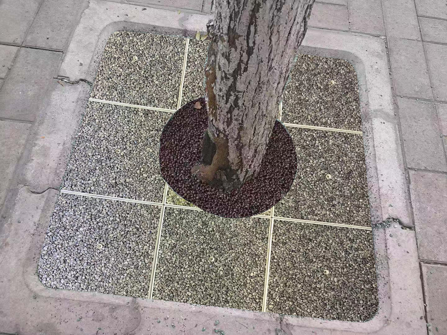 生態(tài)樹(shù)圍